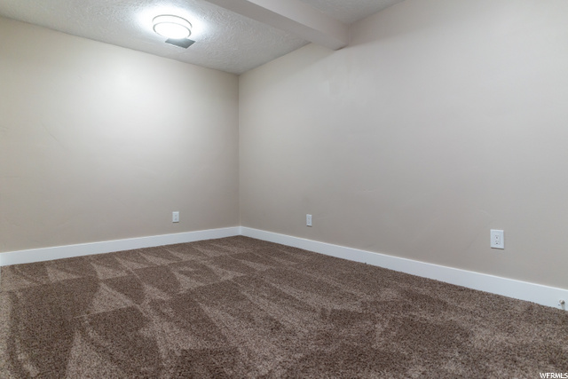 Bonus Basement Room