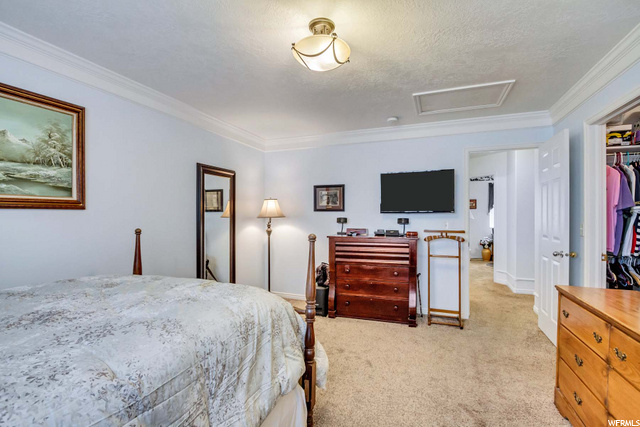 Master bedroom w/ walk-in closet to right