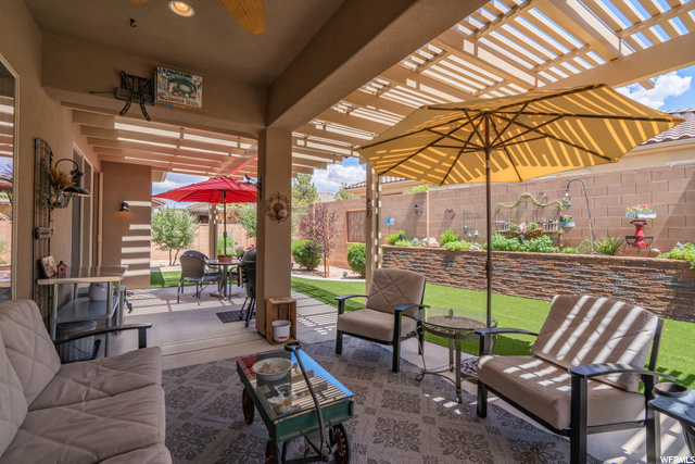 Lovely Back Yard