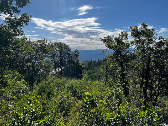 2484 Forest Meadow Rd, Wanship, UT 84017 — photo 10