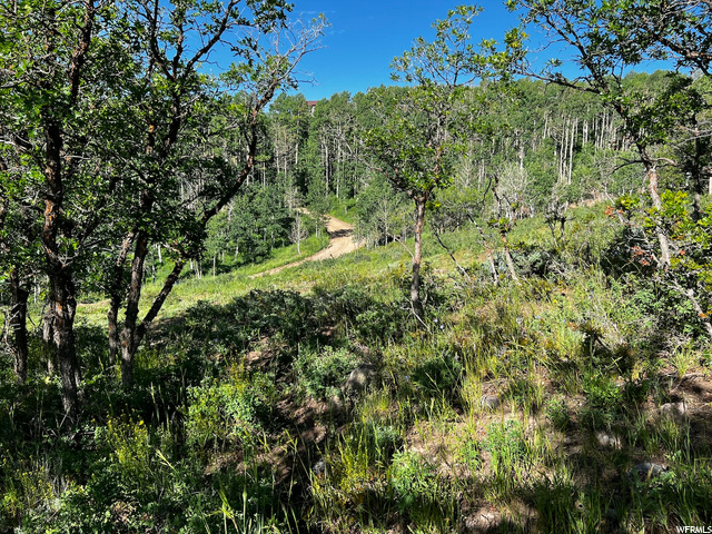 2484 Forest Meadow Rd, Wanship, UT 84017 — photo 11