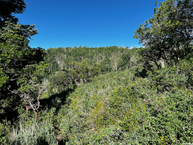 2484 Forest Meadow Rd, Wanship, UT 84017 — photo 8