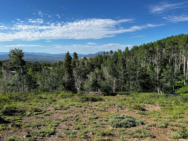 2484 Forest Meadow Rd, Wanship, UT 84017 — photo 6