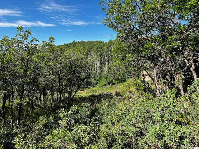 2484 Forest Meadow Rd, Wanship, UT 84017 — photo 9