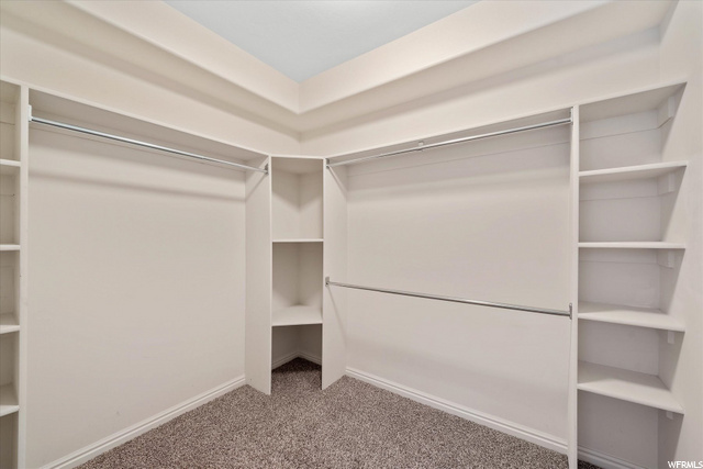 Large Bedroom Down Walk In Closet Alt View