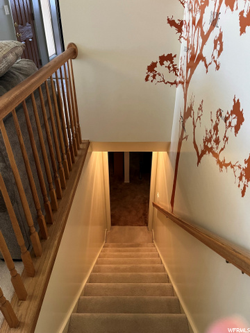 Steps to downstairs