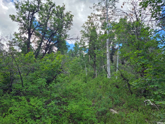 Photo #3