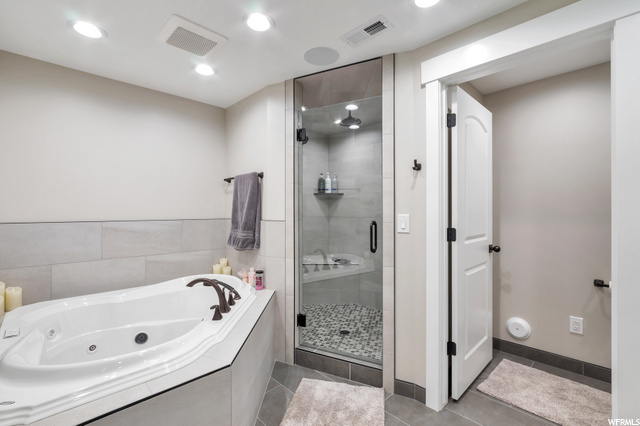 Fantastic lower level bathroom