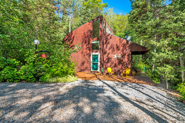 Nestled in the Forest