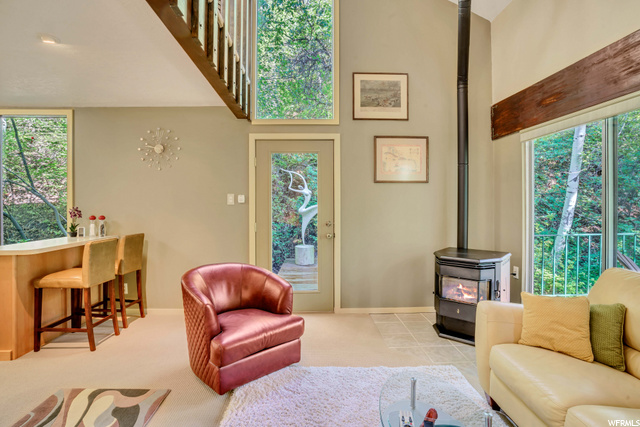 Pellet Stove for Heating