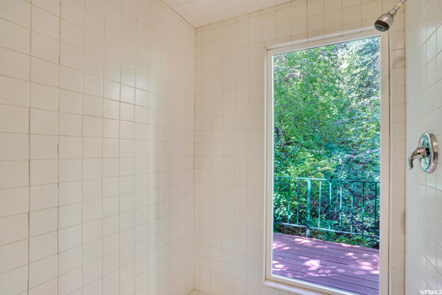 Spacious Shower