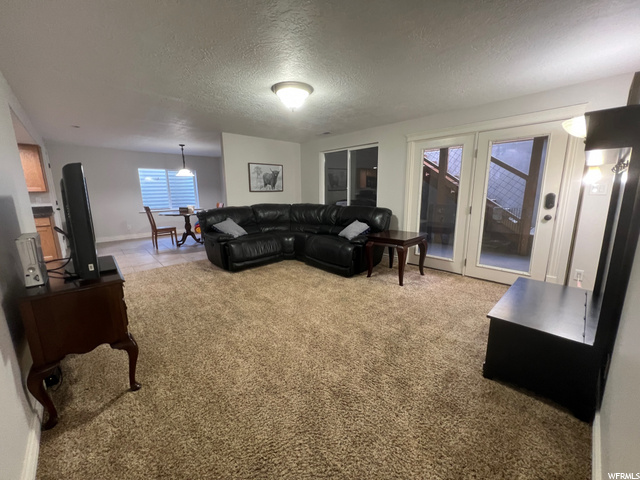 Basement apartment great room