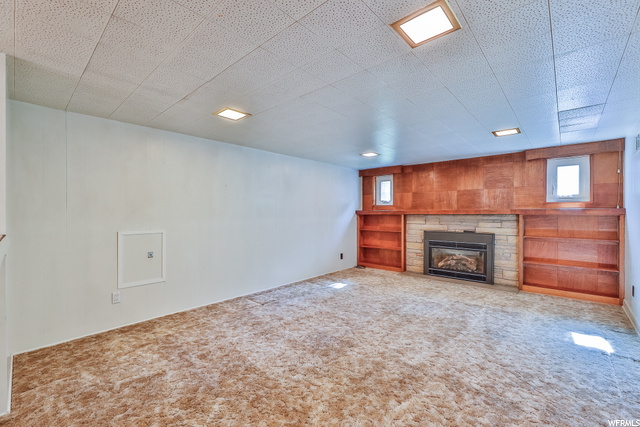 Family Room w/gas fireplace (Basement)