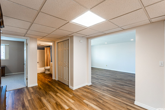 Daylight basement!