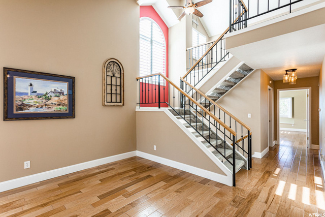 Great design! New high end carpet!