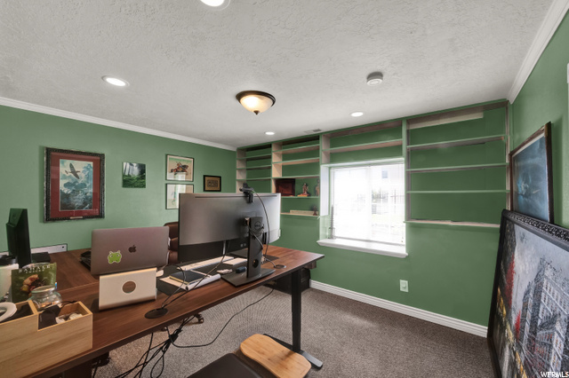 Basement bedroom