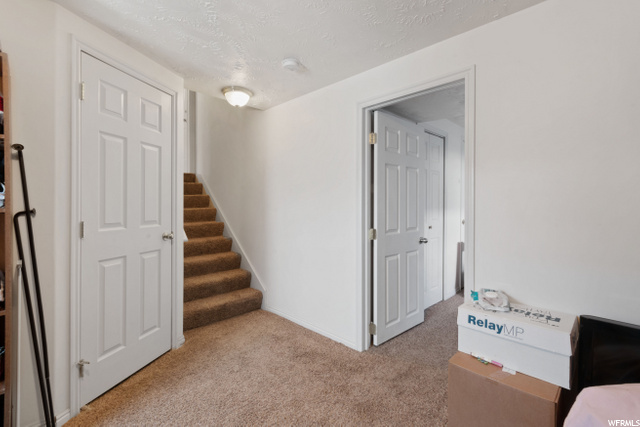 basement level