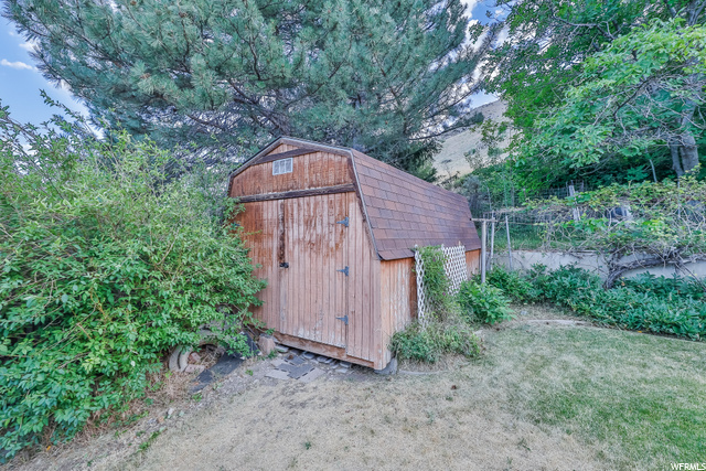Backyard Shed #2