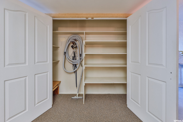 Kitchen Closet/Pantry