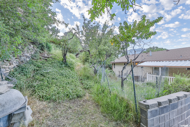 Fruit Trees leading up to the direct mountain acce