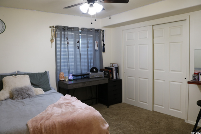 Downstairs bedroom