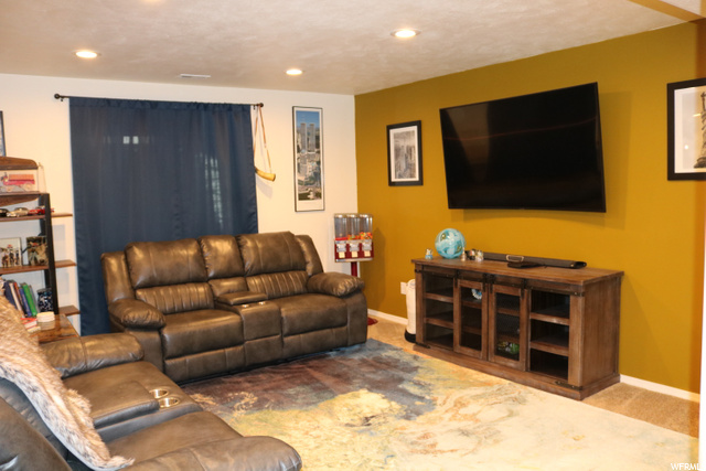 basement living room