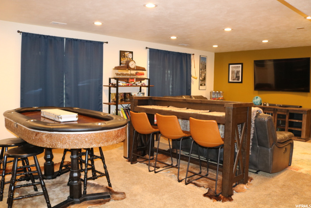Basement living room