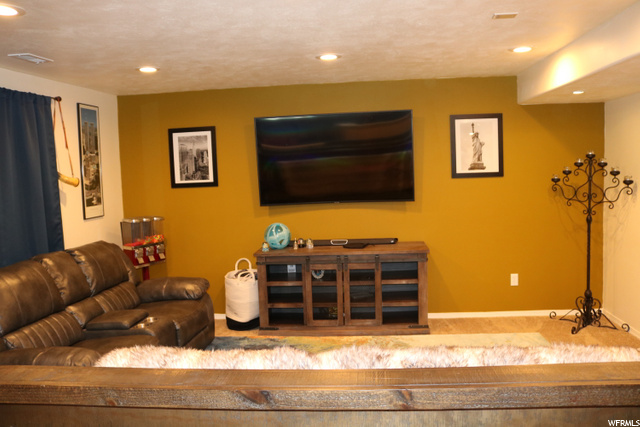 Basement living room