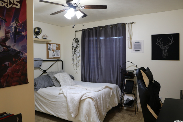 Downstairs bedroom