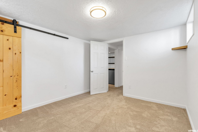 Basement bedroom