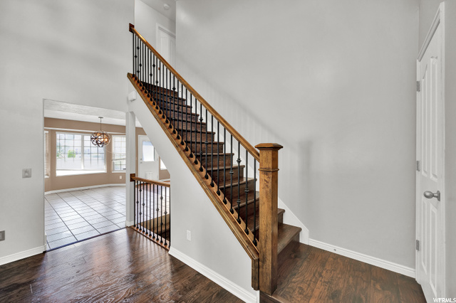 Entry and Staircase