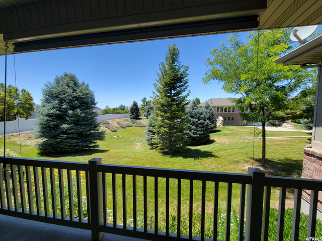 back yard