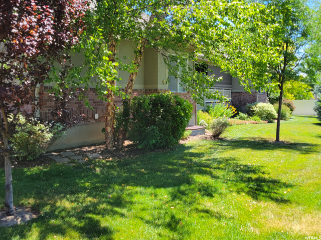 lawn