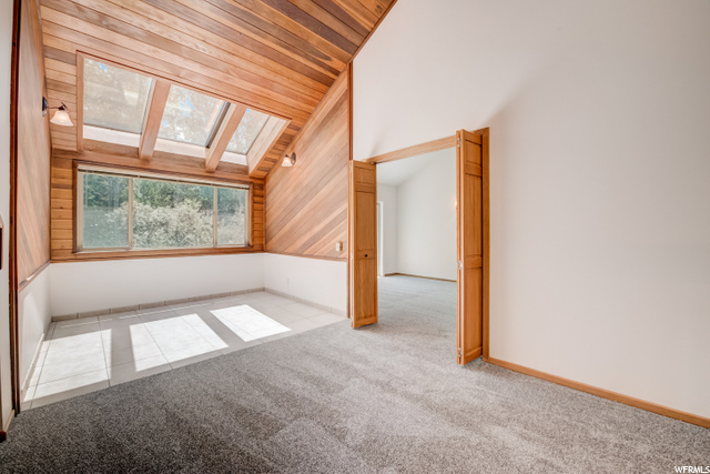 Sky light and vaulted ceilings