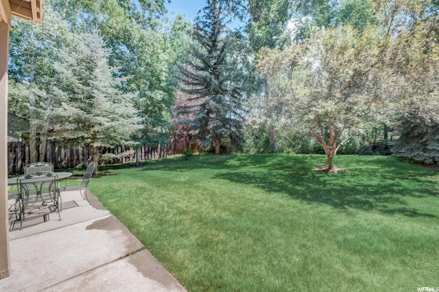Gorgeous yard with seasonal stream