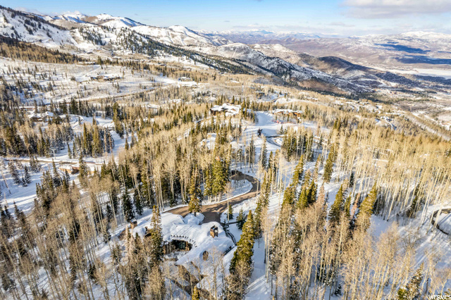 Aerial
