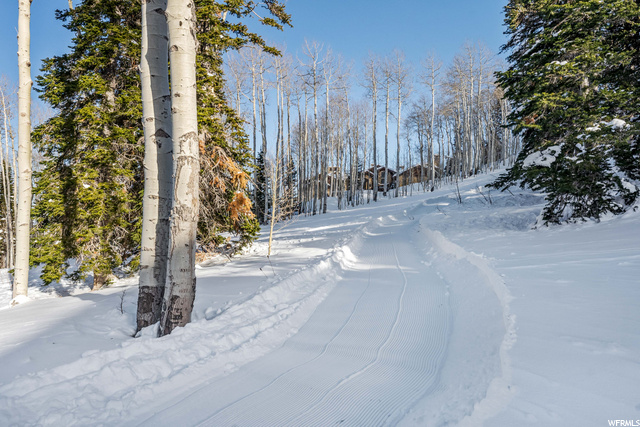 Ski Run-Alpenglow