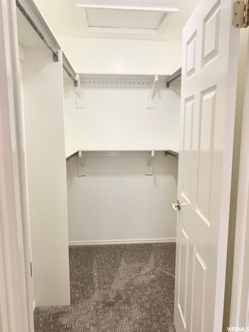 Master Closet (main floor)
