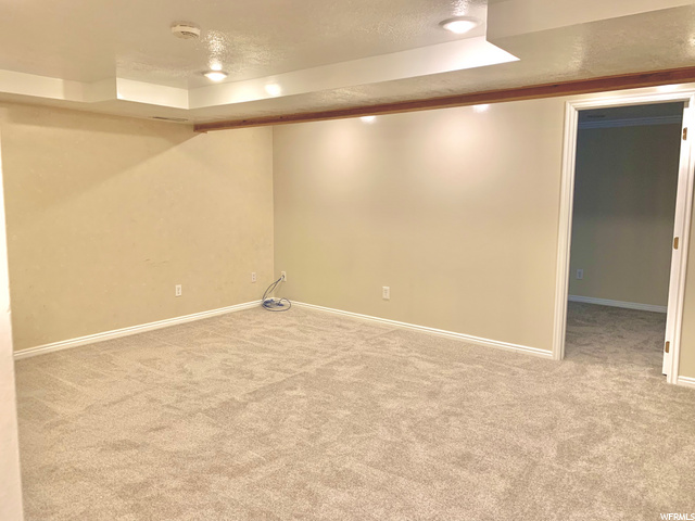 Family Room (basement)