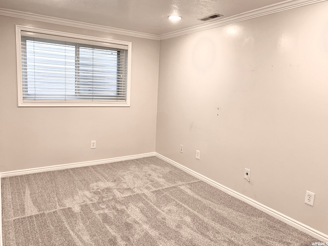 Room #4 (basement)