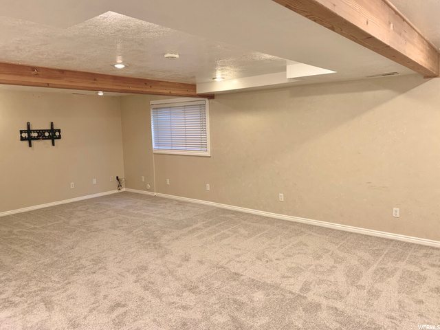 Family Room (basement)