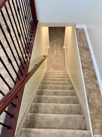 Stairs to Basement - new carpet