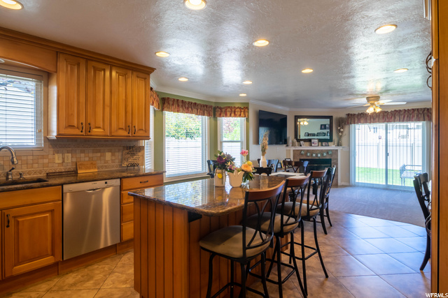 Kitchen & Family Room (main floor)