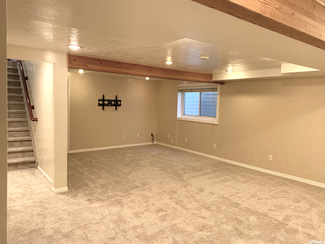 Family Room (basement)