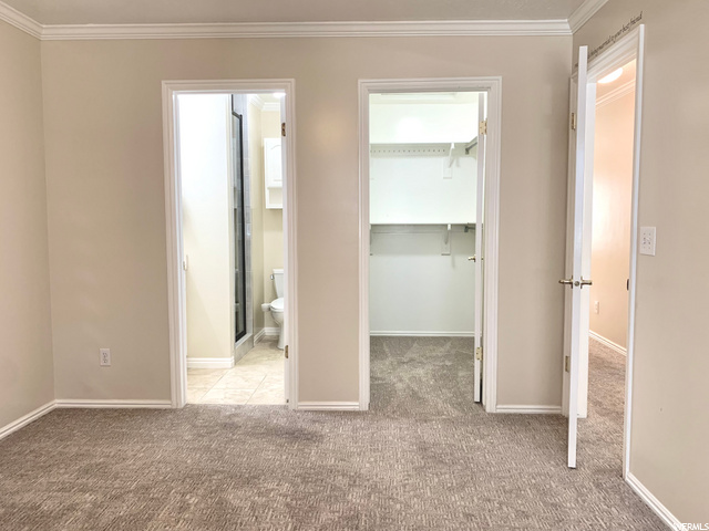 Master Bath & Closet (main floor)