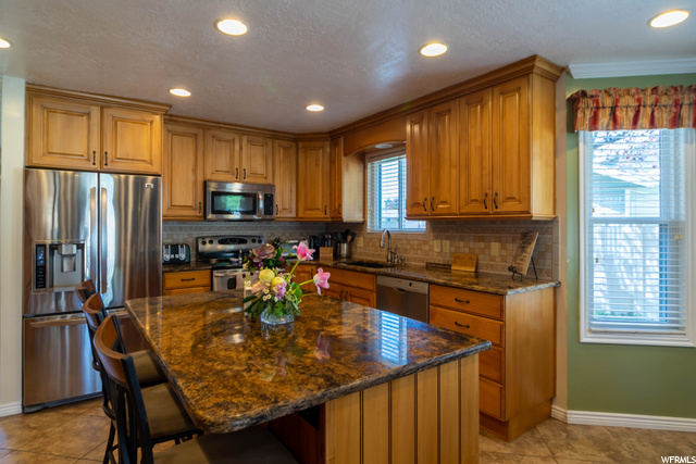 Kitchen & Family Room (main floor)