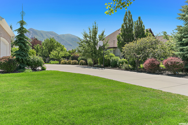 Drive way