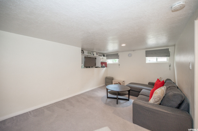 Basement Family Room