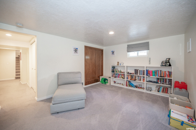 Basement Family Room