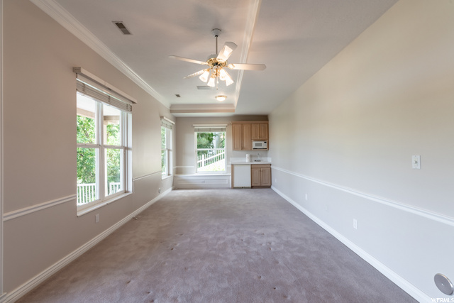 Downstairs Family Room/Wet Bar